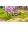 JUSTDANINTERNATIONAL　Switchゲームソフト Let’s School ﾚｯﾂｽｸｰﾙ<br>★こちらの商品は人気商品のため、色違い・仕様違い等含め「一家族１台限り」でのご協力をお願いしております。