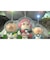任天堂　Switchゲームソフト ピクミン3 デラックス ﾋﾟｸﾐﾝ3ﾃﾞﾗｯｸｽ<br>★こちらの商品は人気商品のため、色違い・仕様違い等含め「一家族１台限り」でのご協力をお願いしております。