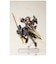 コトブキヤ　フレームアームズ・ガール フレズヴェルク＝アルバス FAGﾌﾚｽﾞｳﾞｪﾙｸ=ｱﾙﾊﾞｽ