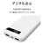 ラスタバナナ　10000mAh 準固体モバイルバッテリー A×2 C×1 PD20W出力 [ USB Power Delivery対応 / 3ポート ] チャコールグレー RLI100C20W04CGRY