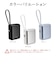 ラスタバナナ　10000mAh 超小型モバイルバッテリー A×1 C×1 Cケーブル×1 PD20W BK ［USB Power Delivery対応 / 2ポート］ ブラック RLI100C20W06BK