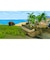 GOGAME　PS4ゲームソフト　Angry Alligator ワニワニ大冒険 PLJM-16939