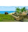 GOGAME　PS4ゲームソフト　Angry Alligator ワニワニ大冒険 PLJM-16939