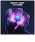 ブラウン　ラディアントホワイト替ブラシ［2本入］ IORBWW2EL