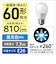 パナソニック　LED電球 一般電球タイプ(E26口金) 全方向タイプ ［E26 /一般電球形 /昼光色 /1個 /全方向タイプ］ LDA7DDGSZ6F