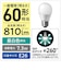 パナソニック　LED電球 一般電球タイプ(E26口金) 全方向タイプ ［E26 /一般電球形 /昼白色 /1個 /全方向タイプ］ LDA7NDGSZ6F