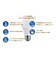ORIGINALBASIC　LED電球 ［E17 一般電球形 断熱施工器具対応 60W相当 昼白色 2個 広配光タイプ］ LDA6NGE17SK60XOS2P