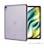 ナカバヤシ　iPadAir(M2)13インチ用 衝撃吸収背面ケース TBCIPA24303GY