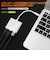 フリーダム　映像変換アダプタ [USB-C オス→メス HDMI /USB-A＋USB-Cメス(給電用 PD100W対応)] シルバー FHDMIADC4PCH