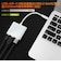 フリーダム　映像変換アダプタ [USB-C オス→メス HDMI /USB-A＋USB-Cメス(給電用 PD100W対応)] シルバー FHDMIADC4PCH
