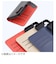 レイアウト　Galaxy S25 Like standard 耐衝撃 マグネットベルト シンプル 手帳型レザーケース / ブラック_レッド RTGS25ELC1BR
