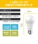東芝　LED電球 (人感センサー付き) ［電球色 /1個］ LDA7LDGM60V1