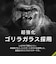 トリニティ　Google Pixel 10a [FLEX 3D] ｺﾞﾘﾗｶﾞﾗｽ 高透明 複合ﾌﾚｰ 高透明 TRPX2610AG3GOCCBK