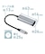 ナカバヤシ　LAN変換アダプタ [USB-C オス→メス LAN] シルバー ULAC01SL