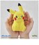 タカラトミー　てのひらﾋﾟｶﾁｭｳ ぽけふわ ﾎﾟｹﾓﾝ ﾃﾉﾋﾗﾋﾟｶﾁｭｳﾎﾟｹﾌﾜ