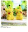 タカラトミー　てのひらﾋﾟｶﾁｭｳ ぽけふわ ﾎﾟｹﾓﾝ ﾃﾉﾋﾗﾋﾟｶﾁｭｳﾎﾟｹﾌﾜ