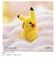 タカラトミー　てのひらﾋﾟｶﾁｭｳ ぽけふわ ﾎﾟｹﾓﾝ ﾃﾉﾋﾗﾋﾟｶﾁｭｳﾎﾟｹﾌﾜ