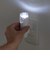 ヤザワ　充電式LEDｾﾝｻｰﾅｲﾄﾗｲﾄﾎﾜｲﾄ ﾎﾜｲﾄ NCSN02WH