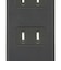 ビックアイデア　USB付き電源タップ2個口1m2ポート ブラック BIMUT212A1K