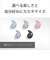 ソニー　LinkBuds Fit用エアフィッティングサポーター アッシュバイオレット HACLS910NSVQ