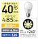 パナソニック　LED電球 一般電球タイプ(E26口金) 全方向タイプ ［E26 /一般電球形 /温白色 /1個 /全方向タイプ］ LDA5WWDGSZ4F
