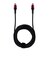 アンサー　Switch2用 USB Type-C ストロングケーブル 2m(ブラック/レッド) ANS-SW175BR<br>★こちらの商品は人気商品のため、色違い・仕様違い等含め「一家族１台限り」でのご協力をお願いしております。