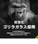 トリニティ　iPhone 17 / 16 / 16Plus レンズフィルム [PicPro] ゴリラガラス クリア カメラレンズ保護ガラス TRIP25M2LCAGOCCC