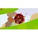 ソニーインタラクティブエンタテインメント　PS4ゲームソフト LocoRoco 2 ﾛｺﾛｺ2<br>★こちらの商品は人気商品のため、色違い・仕様違い等含め「一家族１台限り」でのご協力をお願いしております。