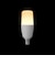 ヤザワ　LED電球 ホワイト [E17/電球色/40W相当/T形/全方向] LDT5LGE17