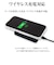 ラスタバナナ　iPhone 17e ケース RHINOX 5H 極 CL クリア 9447IP6EHALCL