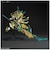 バンダイスピリッツ　SDガンダム 三国創傑伝 No．34 武聖関羽雲長νガンダム SDﾌﾞｾｲｶﾝｳﾆｭｰ