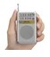 オーム電機　ポケットラジオ AM/FM AudioComm シルバー ［ワイドFM対応 /AM/FM］ RADP212SS