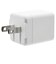 ラスタバナナ　AC充電器 Type-Cポート 5V/1.5A WH ホワイト C2C1A01WH