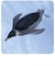 タカラトミー　アニア AS11ｺｳﾃｲﾍﾟﾝｷﾞﾝﾐｽﾞﾆｳｸ