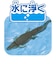 タカラトミー　アニア AL-28 イリエワニ(水に浮くVer.) ｱﾆｱAL28ｲﾘｴﾜﾆ
