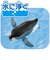 タカラトミー　アニア AL-36 ペンギン(水に浮くVer.) ｱﾆｱAL36ﾍﾟﾝｷﾞﾝ
