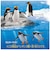 タカラトミー　アニア AL-36 ペンギン(水に浮くVer.) ｱﾆｱAL36ﾍﾟﾝｷﾞﾝ