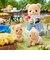 エポック社　シルバニアファミリー ク-70 ビスケットクマのふたごちゃん ｸ70ﾋﾞｽｹｯﾄｸﾏﾉﾌﾀｺﾞﾁｬﾝ
