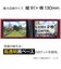 セキセイ　ハーパーハウス レミニッセンス ミニポケットアルバム 高透明 L判40枚収容 XP5540