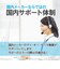 VERBATIMJAPAN　データ用DVD-R 4.7GB 10枚(スピンドル) DHR47JP10SD1B