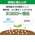 ハクバ　防カビ･防湿剤 カビストッパー  ｶﾋﾞｽﾄｯﾊﾟｰ