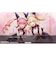 MAGES.　Switch2ゲームソフト STEINS；GATE RE：BOOT 限定版FVGK-0257<br>★こちらの商品は人気商品のため、色違い・仕様違い等含め「一家族１台限り」でのご協力をお願いしております。