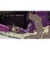 その他メーカー　Switchゲームソフト SAEKO： Giantess Dating Sim (限定版)ｻｴｺGDSｹﾞﾝﾃｲﾊﾞﾝ<br>★こちらの商品は人気商品のため、色違い・仕様違い等含め「一家族１台限り」でのご協力をお願いしております。