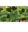 BEEPJAPAN　PS5ゲームソフト  UNRAILED 2： Back on Trackｱﾝﾚｲﾙﾄﾞ2<br>★こちらの商品は人気商品のため、色違い・仕様違い等含め「一家族１台限り」でのご協力をお願いしております。