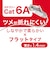 ビックアイデア　LANケーブル Cat6A フラット 1m ［1m / カテゴリー6A / フラット］ ホワイトBIMLC6A1FL100W