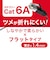 ビックアイデア　LANケーブル Cat6A フラット 2m ［2m / カテゴリー6A / フラット］ ブラックBIMLC6A1FL200K