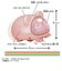 タカラトミー　マイクロペット GEN2 ベアﾏｲｸﾛﾍﾟｯﾄGEN2ﾍﾞｱ