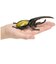 タカラトミー　アニア AL-17 ヘラクレスオオカブトｱﾆｱAL17ﾍﾗｸﾚｽｵｵｶﾌﾞﾄ