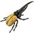 タカラトミー　アニア AL-17 ヘラクレスオオカブトｱﾆｱAL17ﾍﾗｸﾚｽｵｵｶﾌﾞﾄ