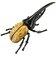 タカラトミー　アニア AL-17 ヘラクレスオオカブトｱﾆｱAL17ﾍﾗｸﾚｽｵｵｶﾌﾞﾄ